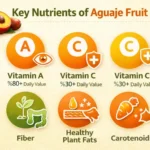 Nutritional infographic of aguaje fruit highlighting vitamin A, vitamin C, fiber, healthy fats, and carotenoids.