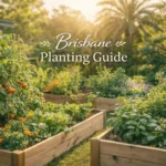 Brisbane planting guide vegetable garden in subtropical South East Queensland climate