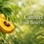 Canistel fruit benefits banner showing ripe egg fruit and sliced canistel with bright yellow flesh.