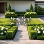 Front yard small hedges landscaping with gardenia hedge and modern design