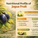 Nutritional profile of jagua fruit showing vitamins, minerals, and antioxidants.
