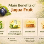 Main health benefits of jagua fruit including digestion, immunity, skin, and hair support.