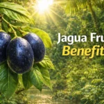 Jagua fruit benefits banner showing fresh Genipa americana fruit on tropical leaves with text overlay.