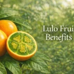 Lulo fruit benefits banner showing Solanum quitoense fruit cut open with green pulp and tropical leaves