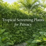 tropical screening plants forming dense privacy hedge in tropical garden landscape